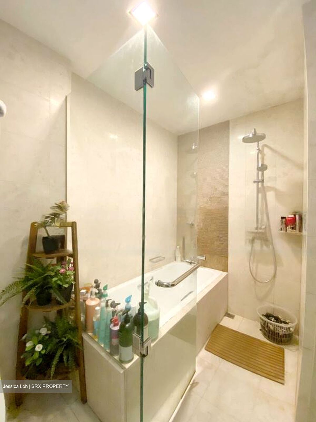 Lincoln Suites (D11), Condominium #479919751